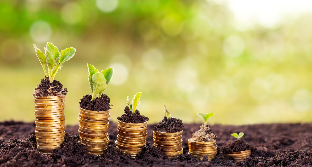 savings coast central credit