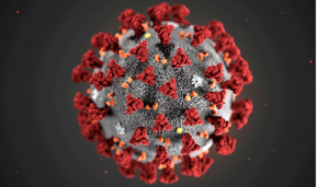 SARS-CoV-2 COVID-19 virion