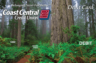 Picture of debit card with redwood forest design